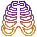caja torácica icon