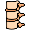 columna vertebral icon