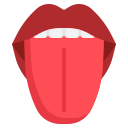 lengua icon