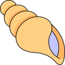 concha icon