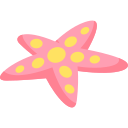 estrella de mar