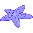 estrella de mar icon