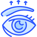 ceja icon