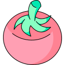 tomate icon