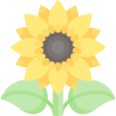 girasol icon