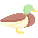 pato icon