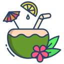 bebida de coco icon