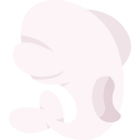 beluga icon