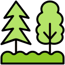 bosque icon