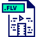 flv icon