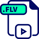 flv icon