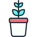 maceta icon