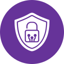 seguridad icon