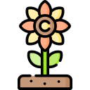 girasol icon