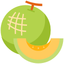 melón icon