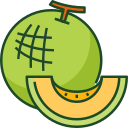 melón icon