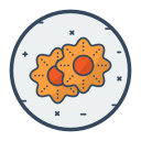 galletas icon