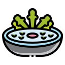 ensalada icon