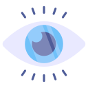 ojo icon