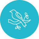 pájaro icon