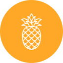 piña icon