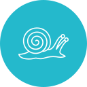 caracol icon