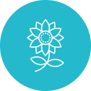 girasol icon