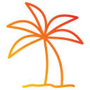 Palm tree