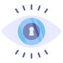 vigilancia icon