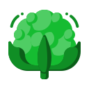 coliflor icon