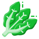 lechuga icon