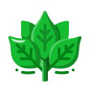 espinaca icon