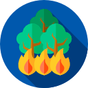 fuego icon