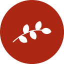 sucursal icon