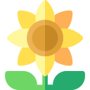 girasol icon