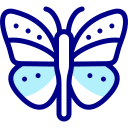 mariposa 