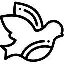 pomba 