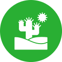 cactus icon