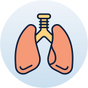 pulmones icon