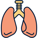 pulmones icon