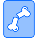 X ray 