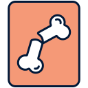 X ray 