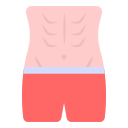 abdominales icon