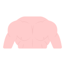 torso icon