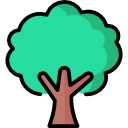 Tree icon