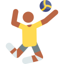 vóleibol icon