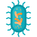 bacterias icon