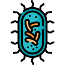 bacterias icon