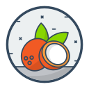 coco icon