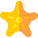 estrella de mar